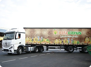 1999 - Ceasa Campinas